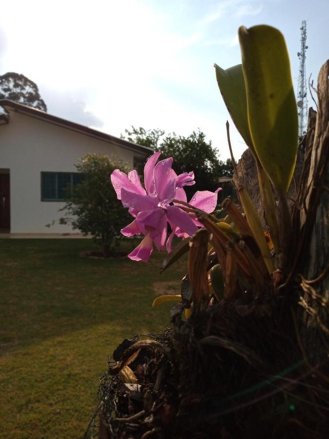 Singela Casa Em